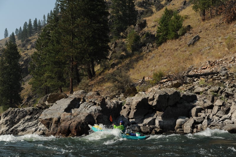 Lantz Rapid