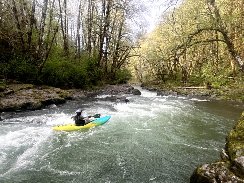 Fish Hatchery Rapid
