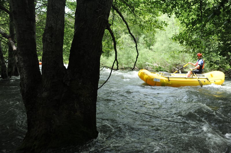Rafting Through the Forest