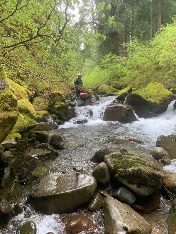 Christy Creek @to Confluence with N. Fk. of Middle Fk. of Willamette
