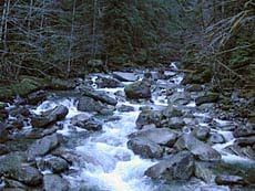 West Fork Miller