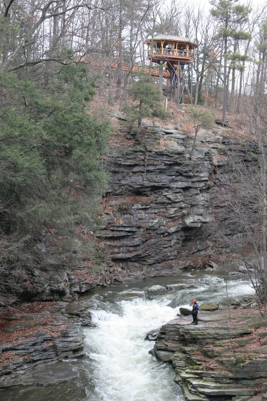 Tree House over Big Falls