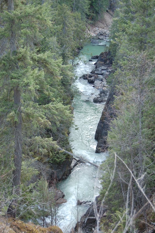 Rapide del torrente Lake Creek