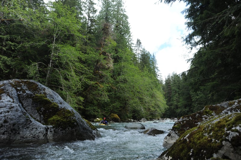 Final Rapid in the Canyon