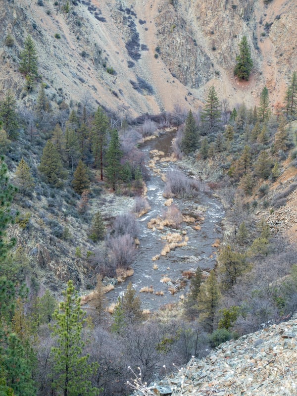 Shasta River at 350 cfs