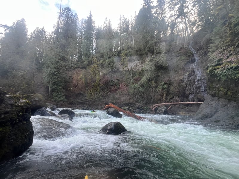 Elbow Rapid