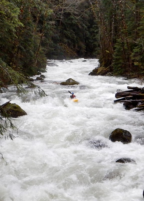 Mike Gordon on Trout Creek