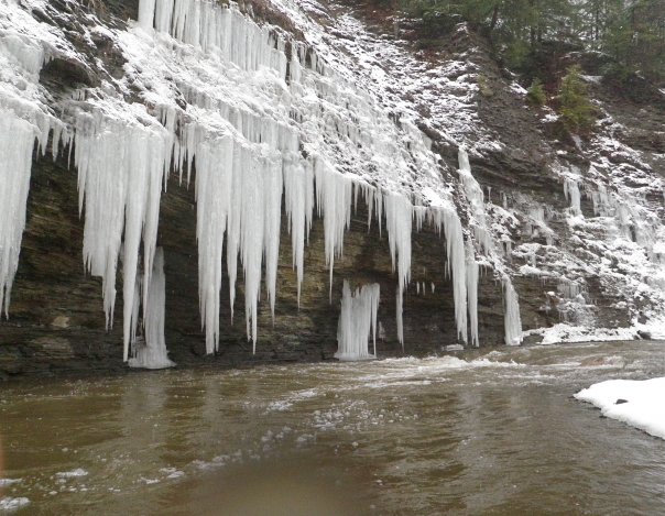 Beautiful Chautauqua creekside icicles.