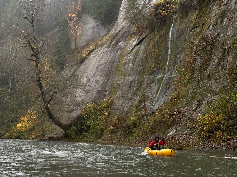 Canyon River (Satsop trib.) @FR 2260 to Cougar Smith Rd.