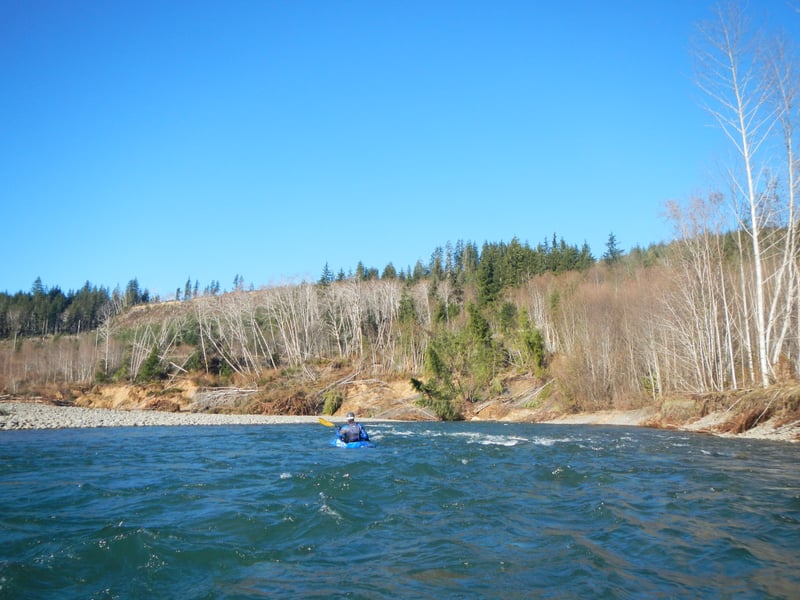 Bogachiel River Trip
