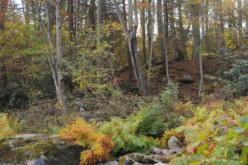 Shoreline Below Railroad Bridge