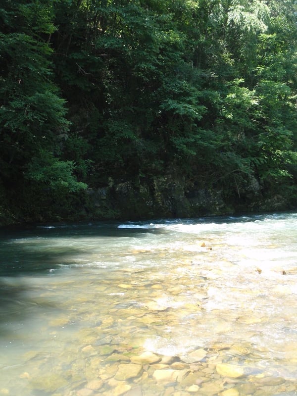 Cowpasture below Bullpasture