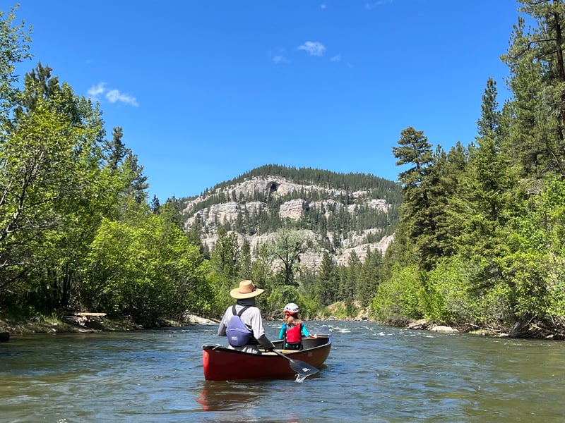 Logging Creek