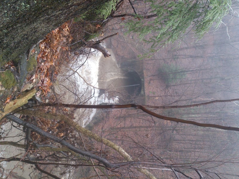 O Túnel em Sagamore Creek