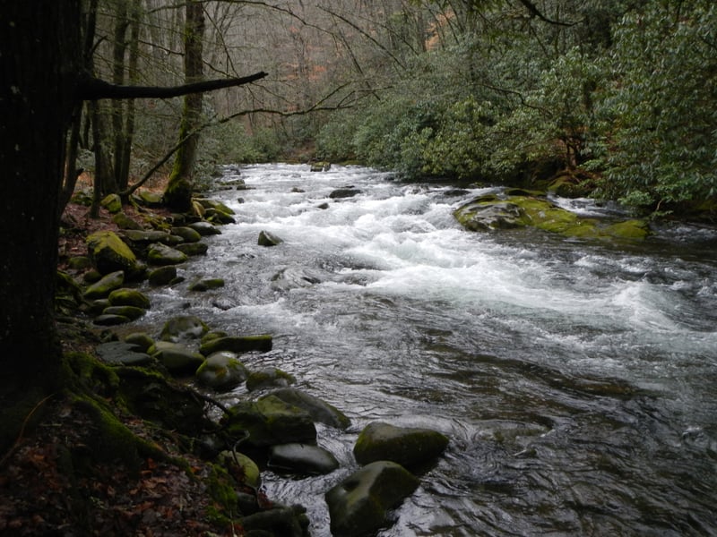 Oconaluftee - upstream from Collins Creek Shoals