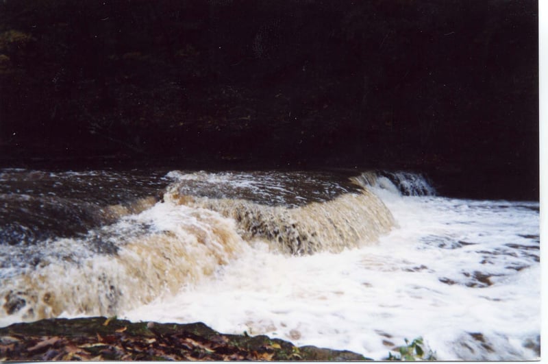 One Man's Mountain is Another Man's Molehill Falls