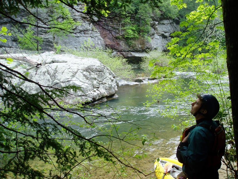 James taking in the view