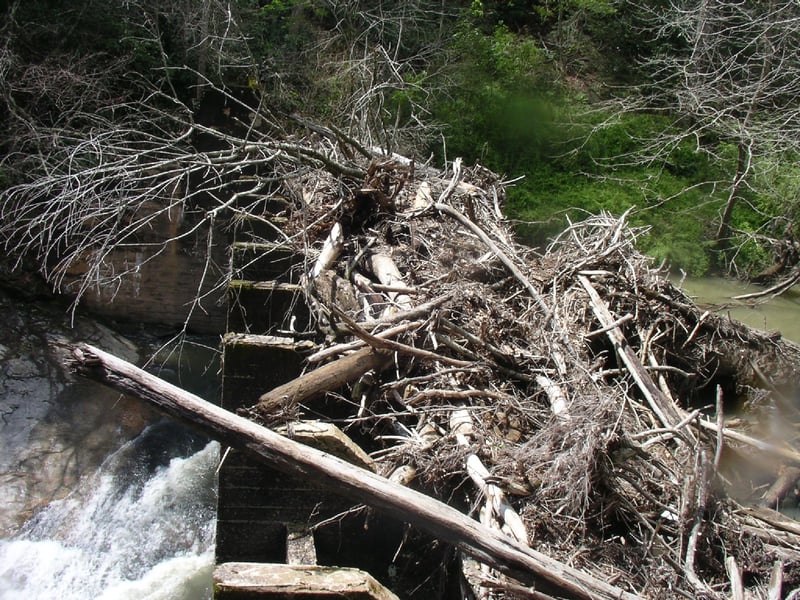Logjam on Big Hungry