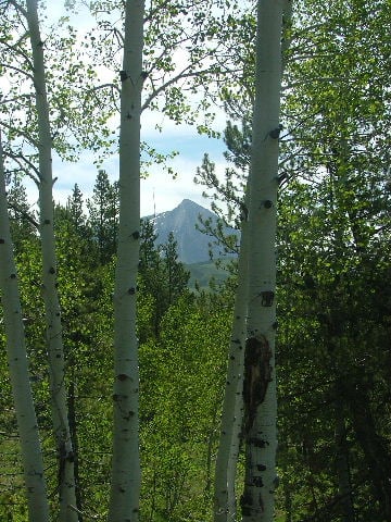 View From the Trail (SH)