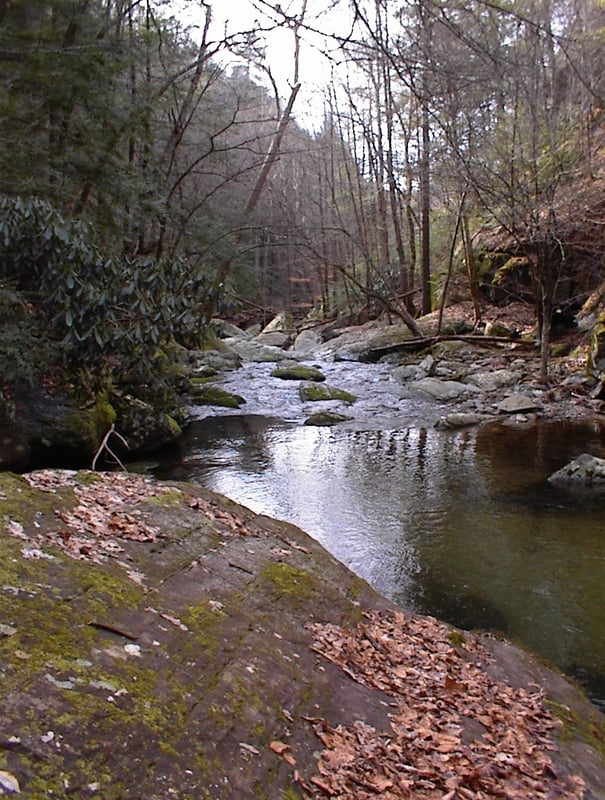 Panther Creek
