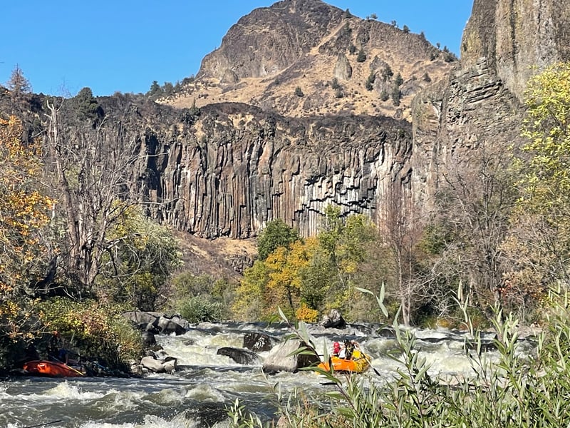 Wards Falls