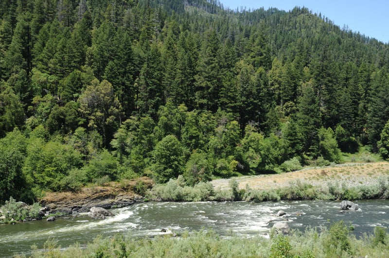 Frog Rock Rapid