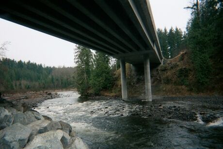 Ponte Kapowsin Putin