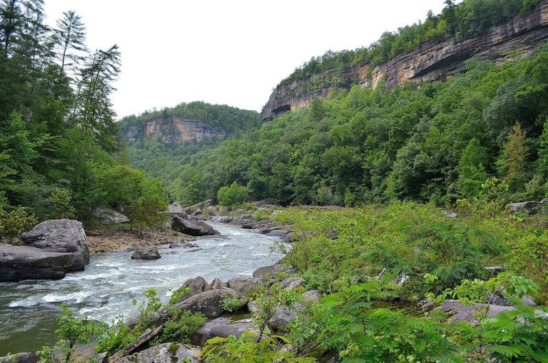 Spring in BSF Canyon