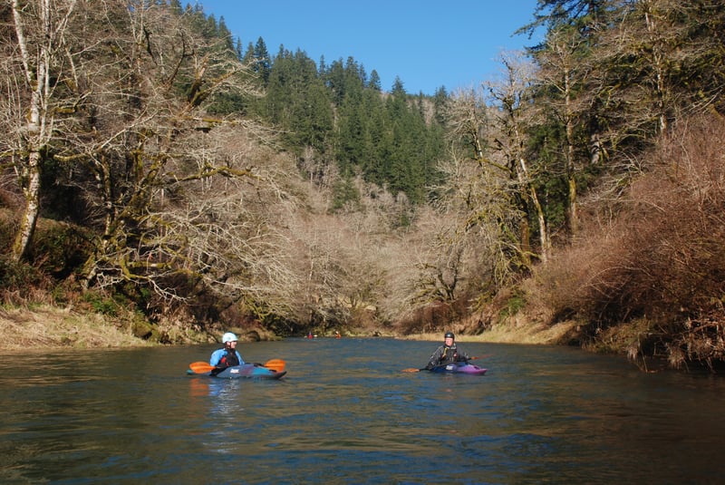 Paddling the Nestucca