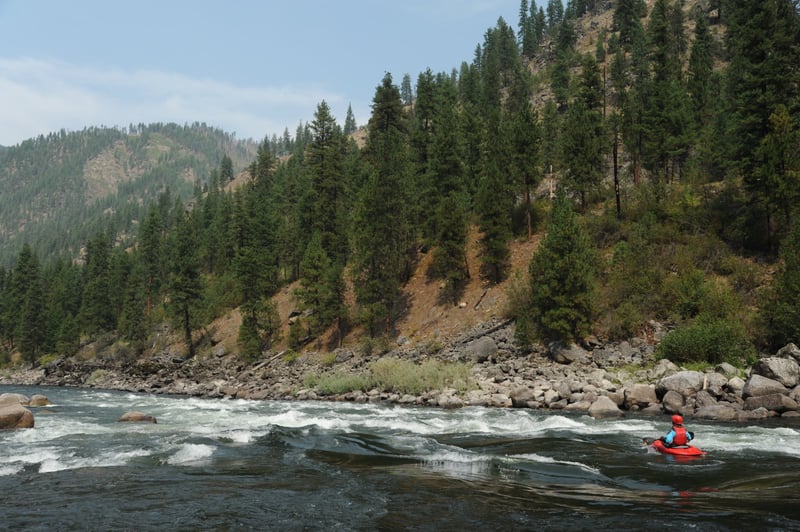Bailey Rapid
