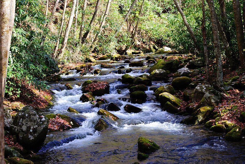  on Eagle Creek @Eagle Creek Trail to Fontana Lake