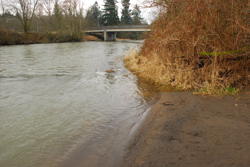 River Shoreline at McKenna Park