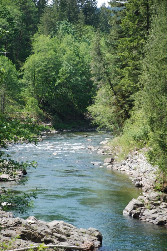 Little North Santiam