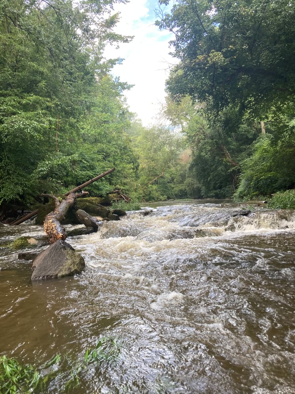 Most difficult rapid after Erect Rd.