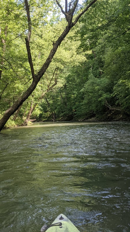 Big Creek @Low water bridge to Old Iron Bridge (12 miles)
