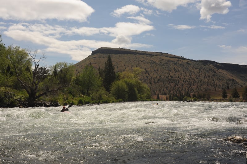 Lower Trout Creek Rapids