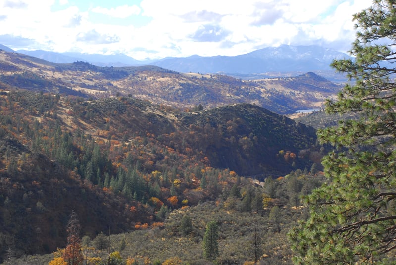 Wards Canyon
