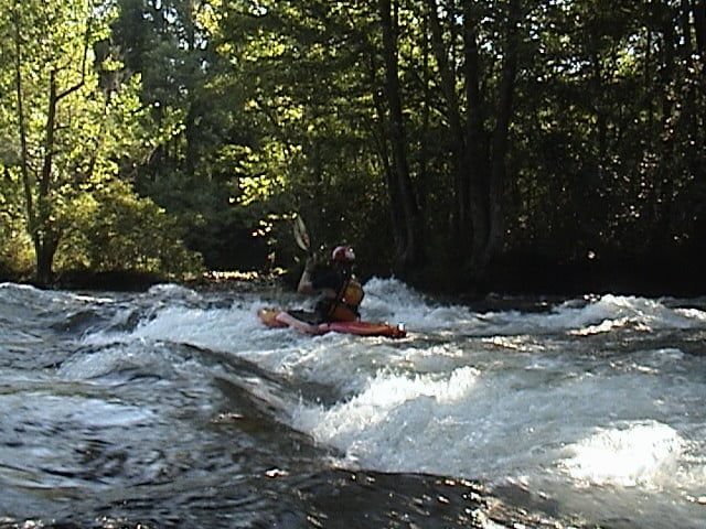 Put in Wave