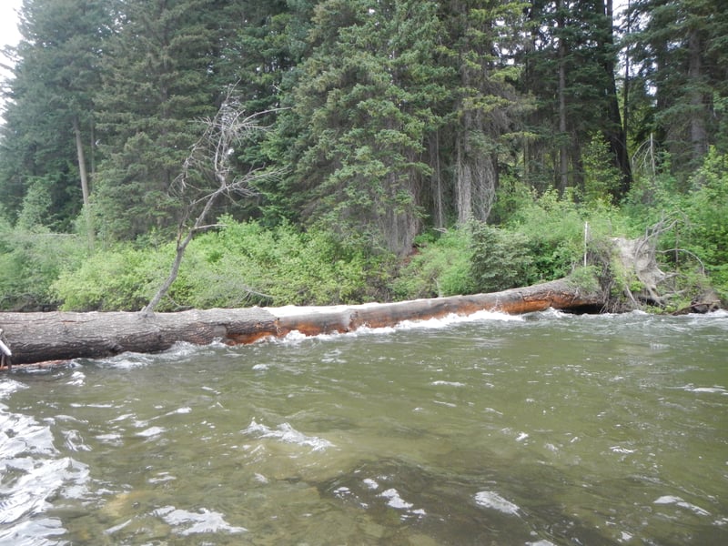 Channel-spanning wood hazard