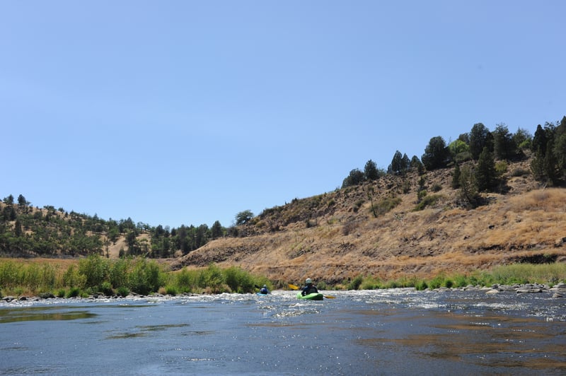 Rapid Below Jenny Creek