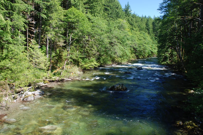  on Beckler @Rapid River to S.Fork Skykomish