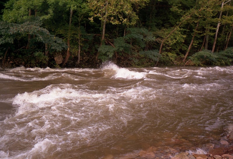 Downstream of Walland