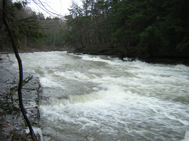 opposite Canoe Hole