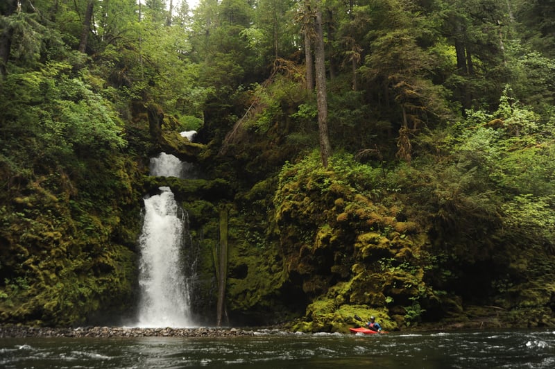 Curly Creek Falls