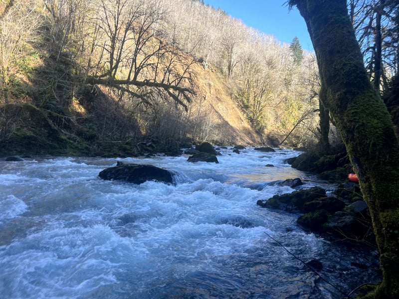 Lead in to Clammer Creek Rapid.