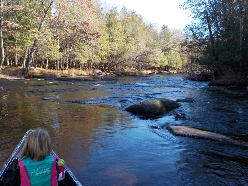 paddling w/ kids