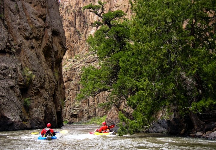 Bruneau canyon above Sheep Creek