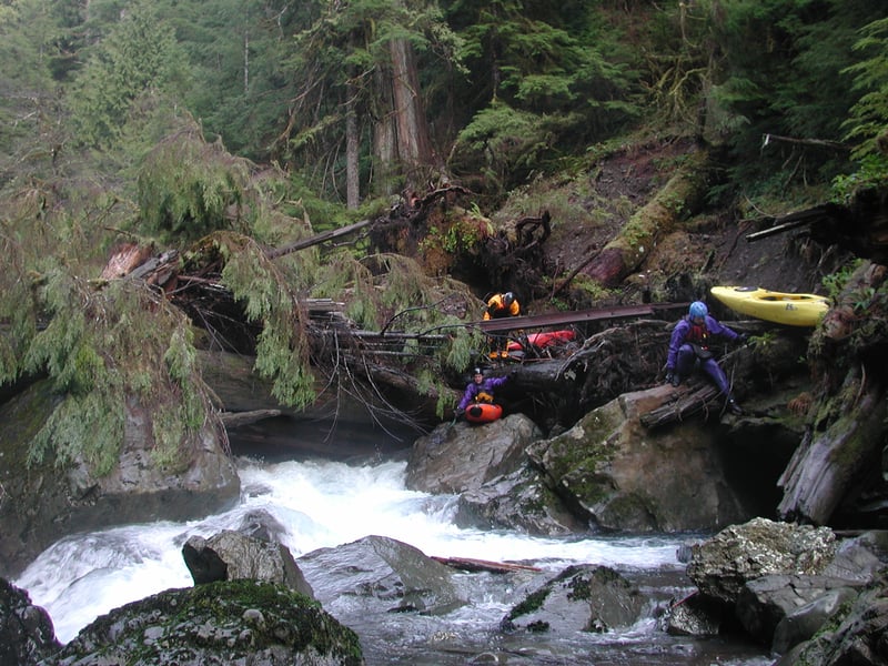 Log Jam