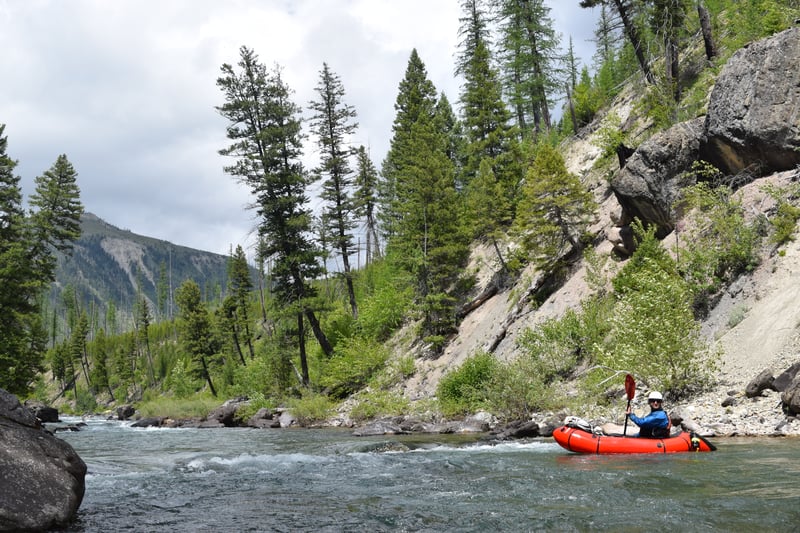 North Fork BeeBop