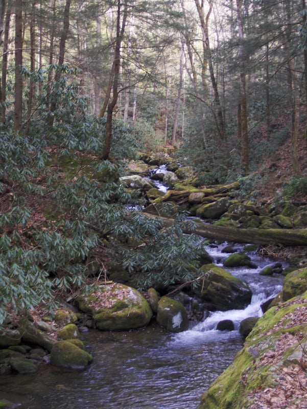 Rapid above lower bridge